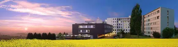 sb_rapsfeld